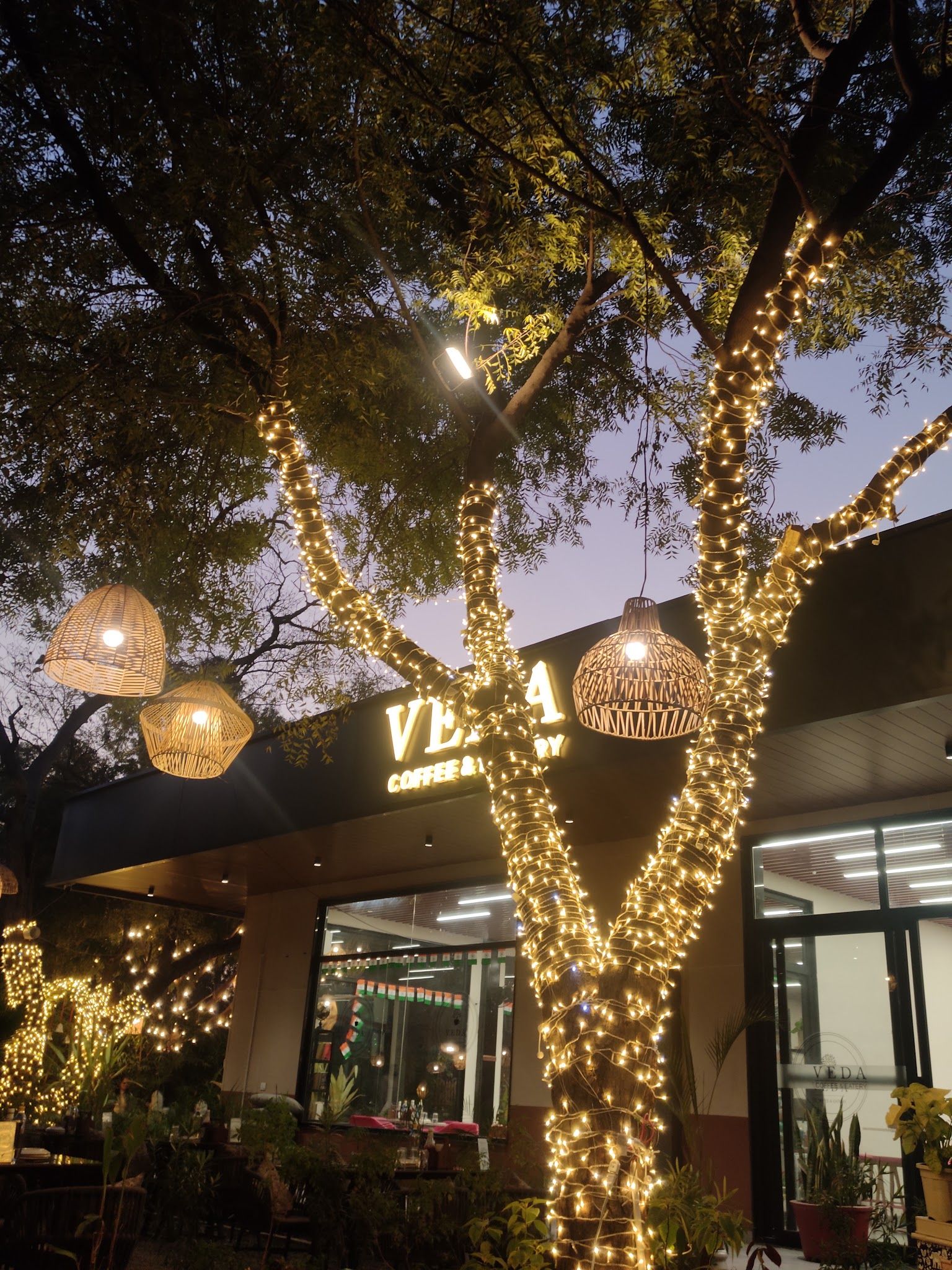 Trees wrapped in fairy lights beside the café at dusk